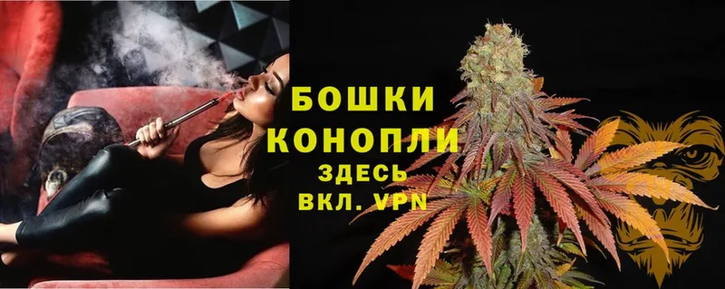 где купить наркотик  Бугульма  Шишки марихуана Ganja 